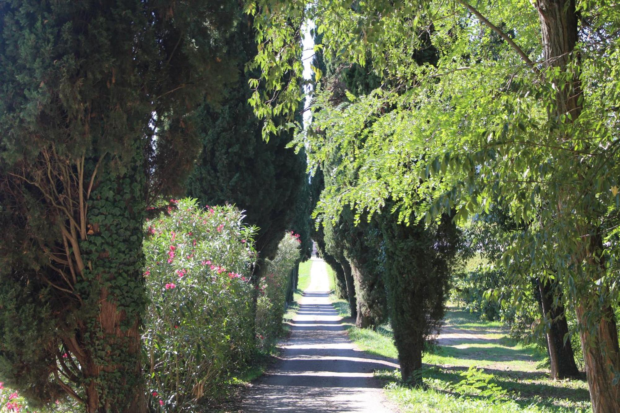 Chateau De L'Olivete Cornillon Екстериор снимка