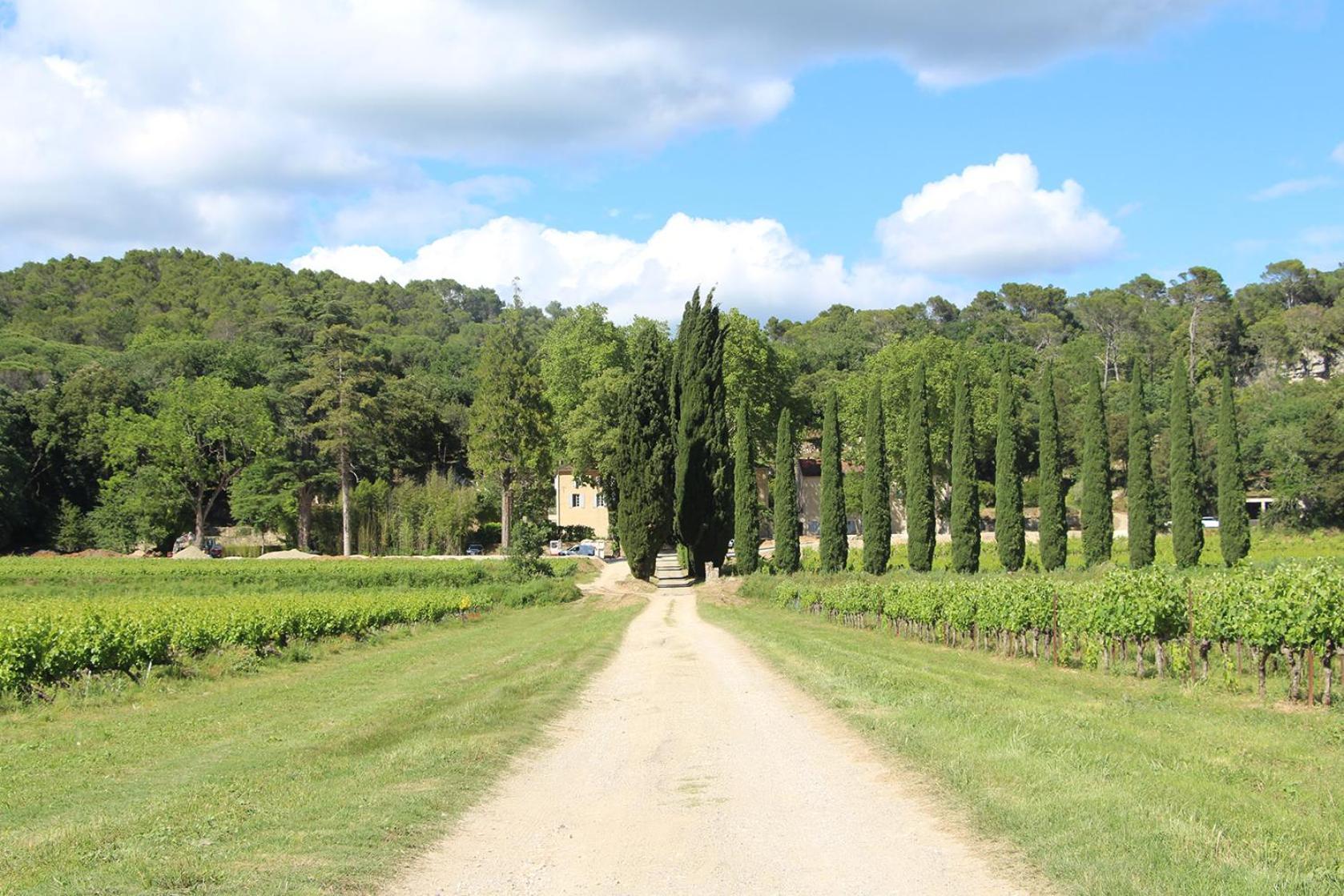 Chateau De L'Olivete Cornillon Екстериор снимка